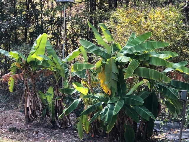 450 Ryan Road, Pittsboro, NC 27312