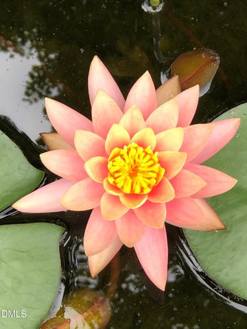 450 Ryan Road, Pittsboro, NC 27312