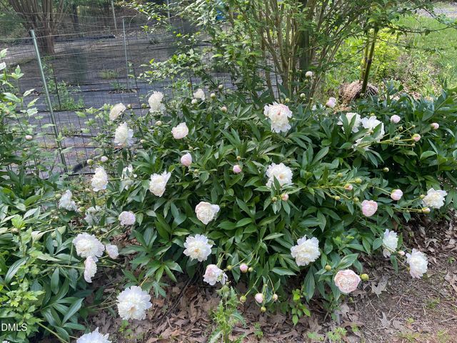 450 Ryan Road, Pittsboro, NC 27312