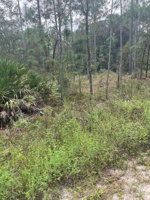 Lot 7 SW 159TH AVENUE, Ocala, FL 34481