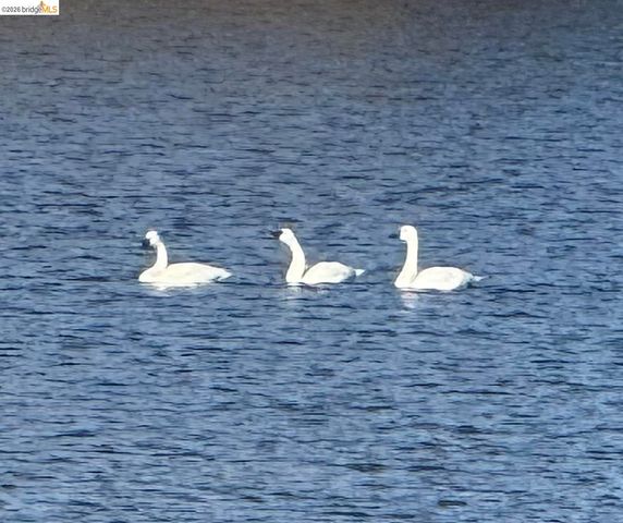 14717 Deon Dr, Sonora, CA 95370