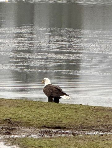 14717 Deon Dr, Sonora, CA 95370