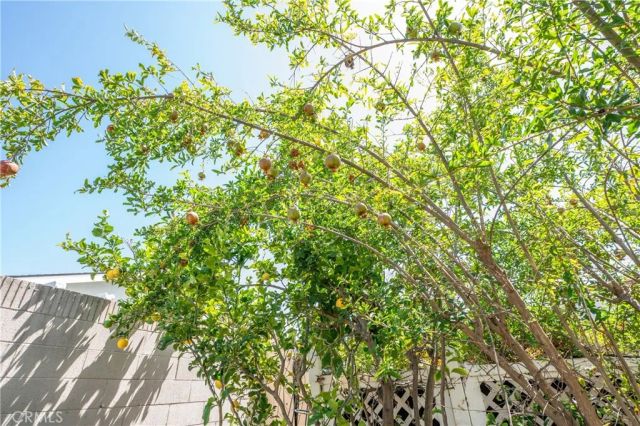 14862 Rattan Street, Irvine, CA 92604