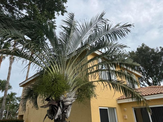 3472 Commodore Court, West Palm Beach, FL 33411