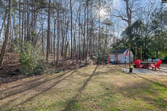 249 Teesdale Court, Lexington, SC 29072