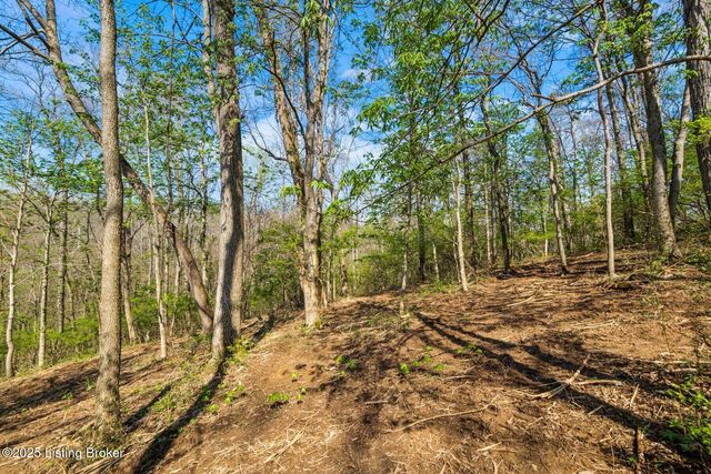 3136 Blackberry Hill Rd, Glenview, KY 40025