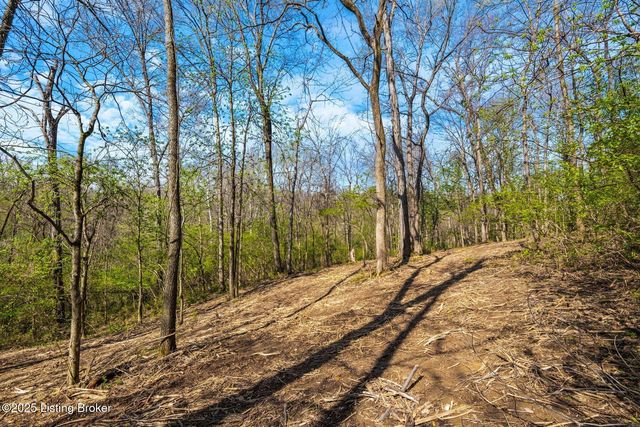 3136 Blackberry Hill Rd, Glenview, KY 40025