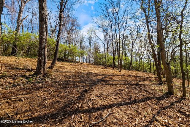 3136 Blackberry Hill Rd, Glenview, KY 40025