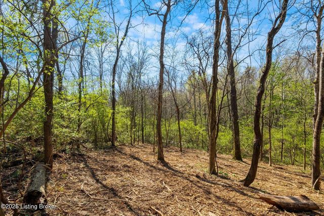 3136 Blackberry Hill Rd, Glenview, KY 40025