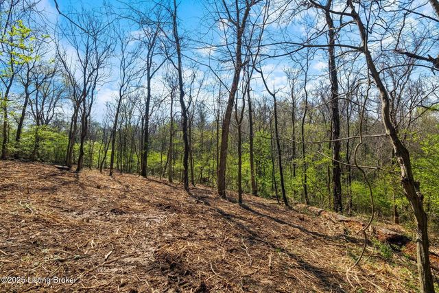 3136 Blackberry Hill Rd, Glenview, KY 40025