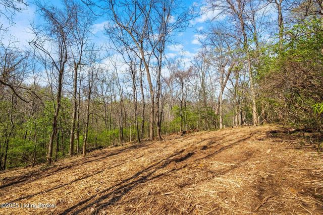 3136 Blackberry Hill Rd, Glenview, KY 40025