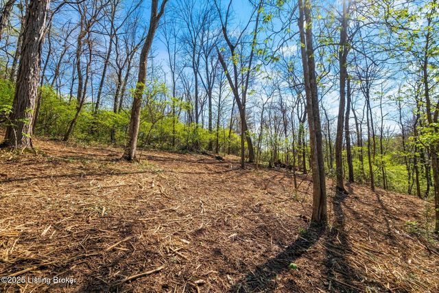 3136 Blackberry Hill Rd, Glenview, KY 40025