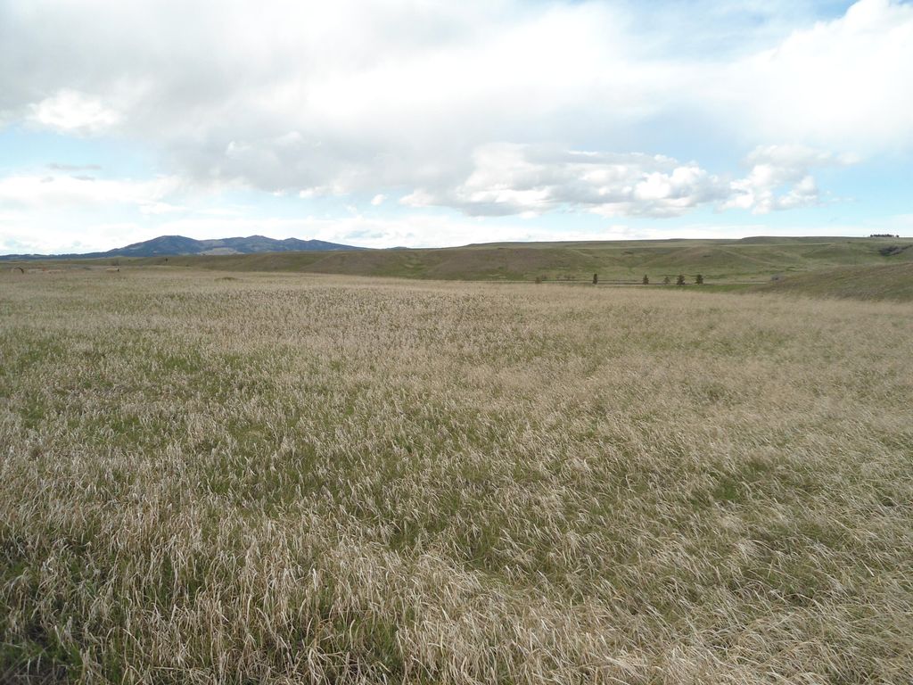 LOT 12B SHADOWS LOOP RD, Lewistown, MT 59457 photo 6