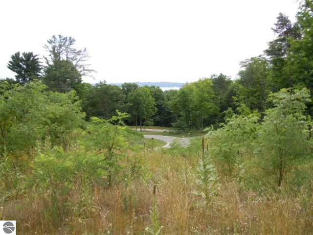 865 Wind Drift Drive, Traverse City, MI 49684