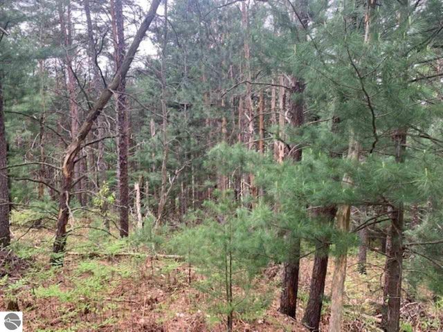 865 Wind Drift Drive, Traverse City, MI 49684