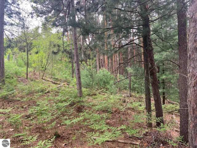 865 Wind Drift Drive, Traverse City, MI 49684