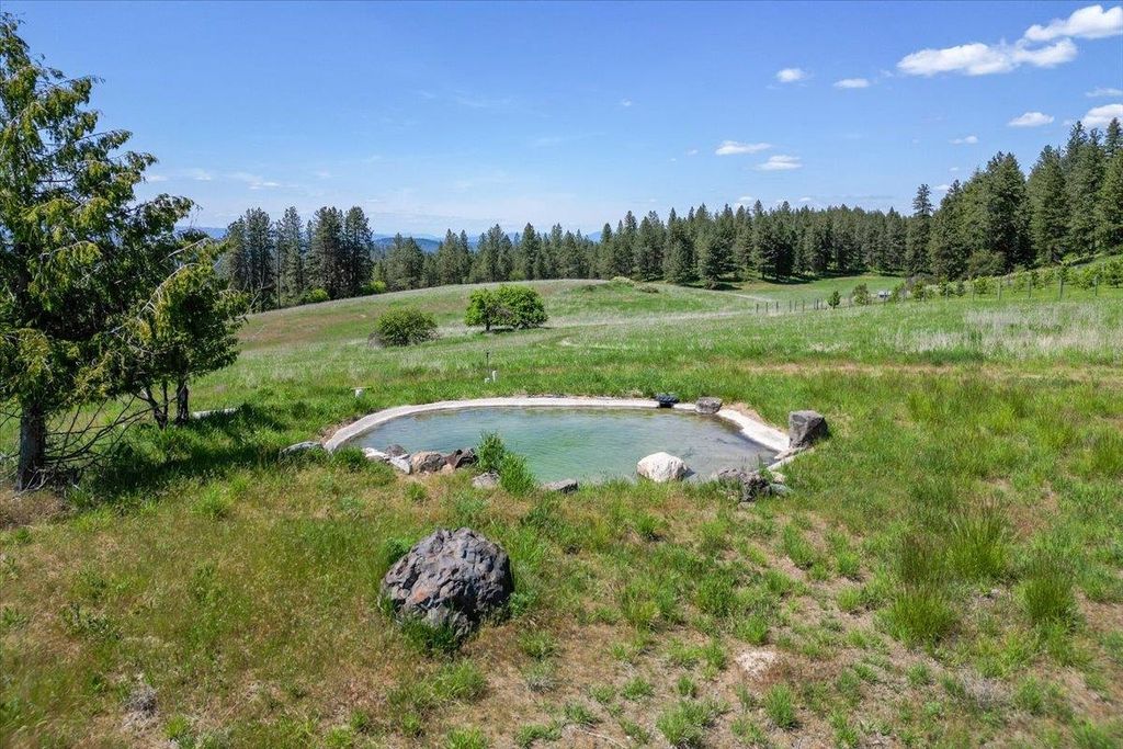 17323 N Lower Greenbluff Rd, Colbert, WA 99005 photo 34