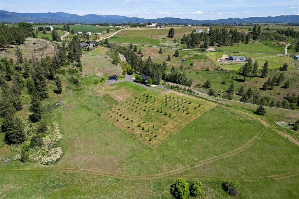 17323 N Lower Greenbluff Rd, Colbert, WA 99005 photo 36