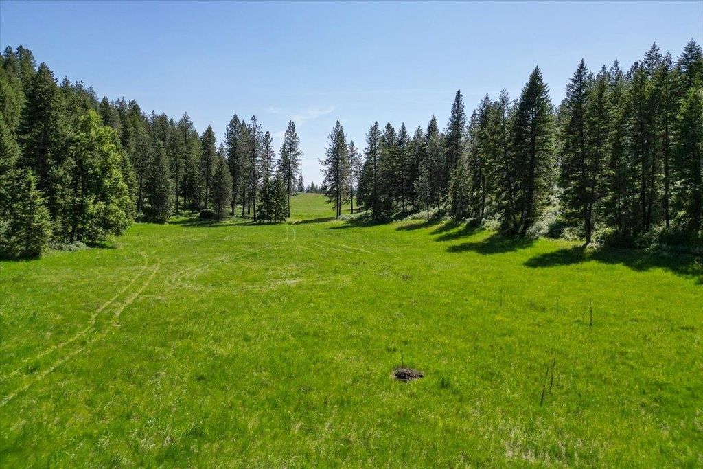 17323 N Lower Greenbluff Rd, Colbert, WA 99005 photo 41