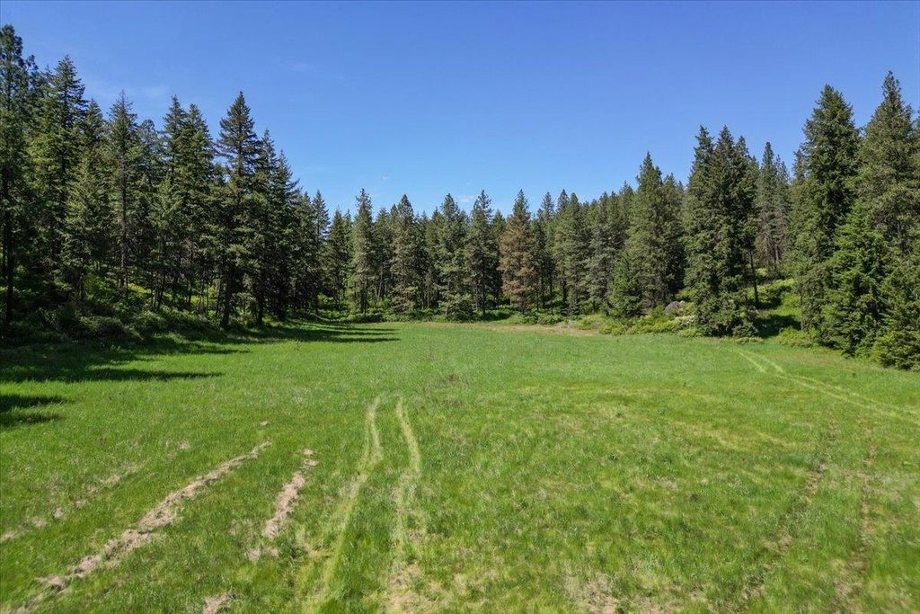 17323 N Lower Greenbluff Rd, Colbert, WA 99005 photo 42