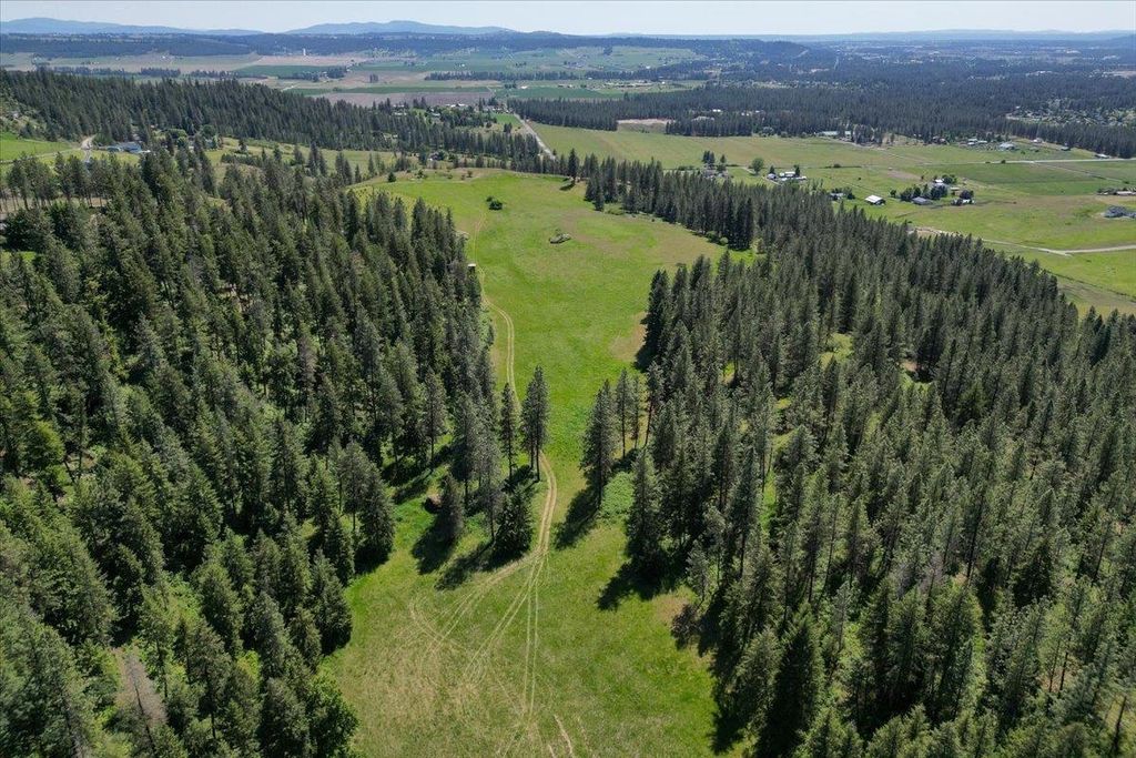 17323 N Lower Greenbluff Rd, Colbert, WA 99005 photo 43