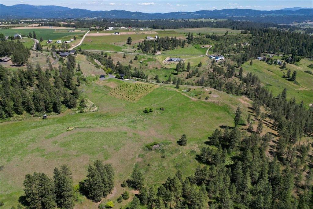 17323 N Lower Greenbluff Rd, Colbert, WA 99005 photo 44