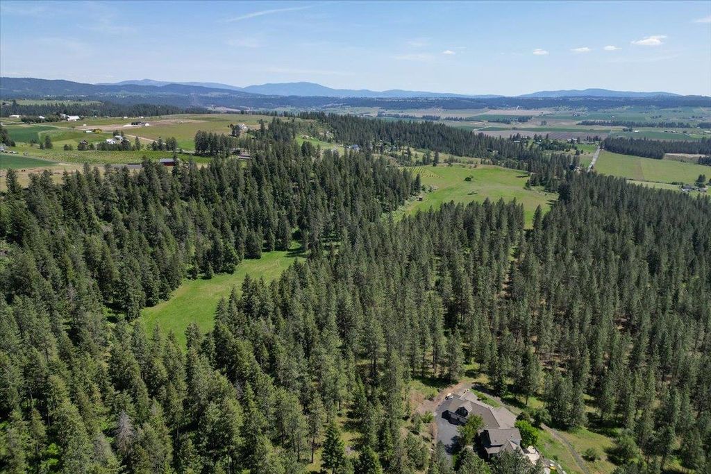 17323 N Lower Greenbluff Rd, Colbert, WA 99005 photo 45