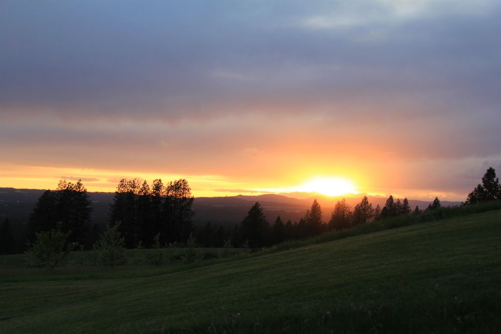 17323 N Lower Greenbluff Rd, Colbert, WA 99005 photo 46