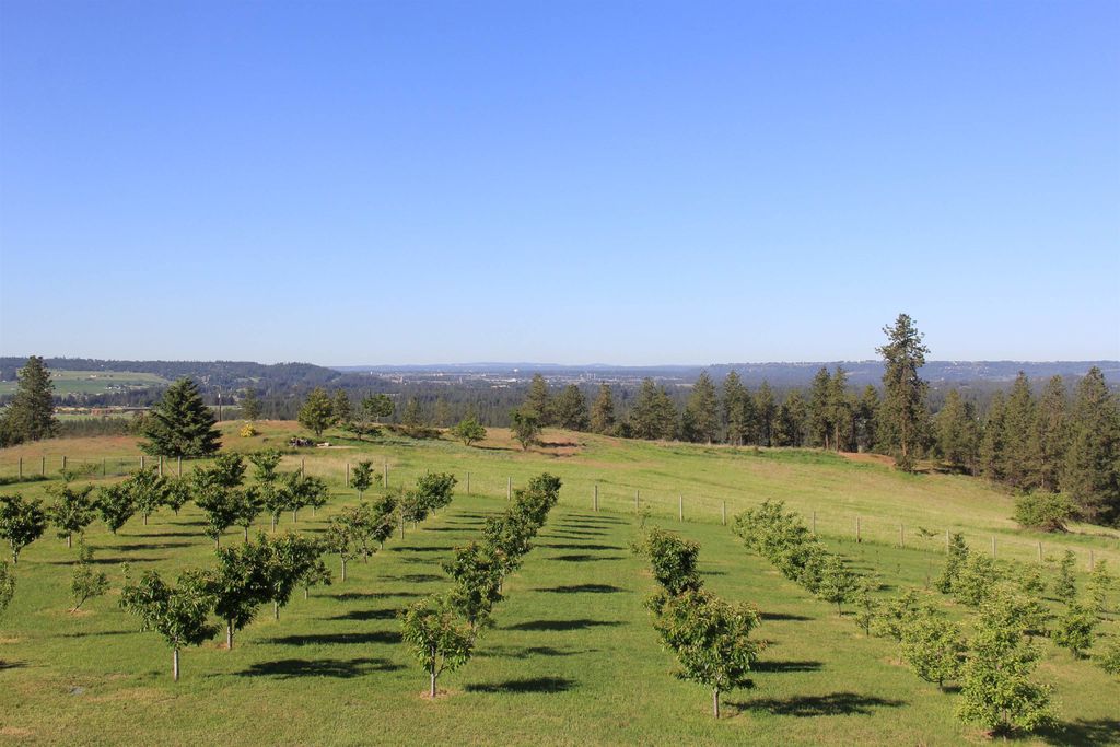 17323 N Lower Greenbluff Rd, Colbert, WA 99005 photo 6