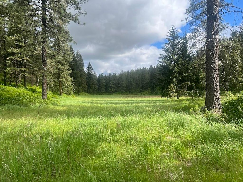 17323 N Lower Greenbluff Rd, Colbert, WA 99005 photo 8