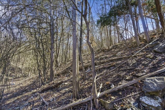 645 Everest Road, Galena, MO 65656