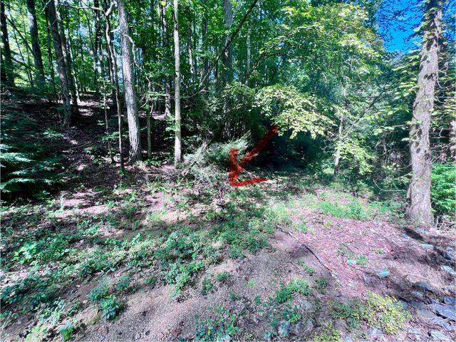 1600 Old Alabama Road SW, Mcdonald, TN 37353