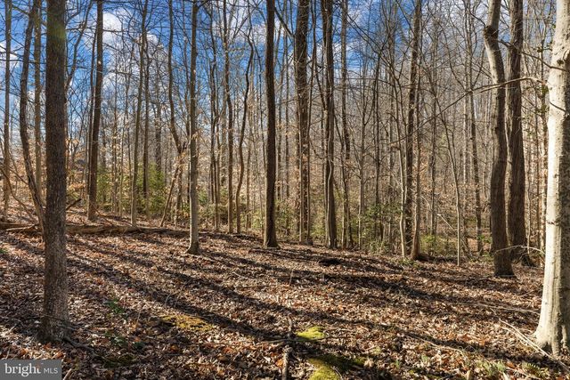 6463 WHEELER DR, King George, VA 22485