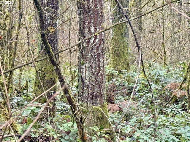 298 BOONE Rd, Toledo, WA 98591