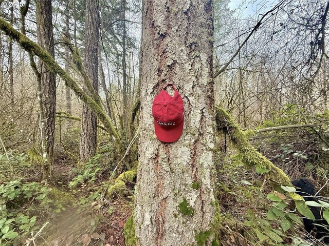 298 BOONE Rd, Toledo, WA 98591