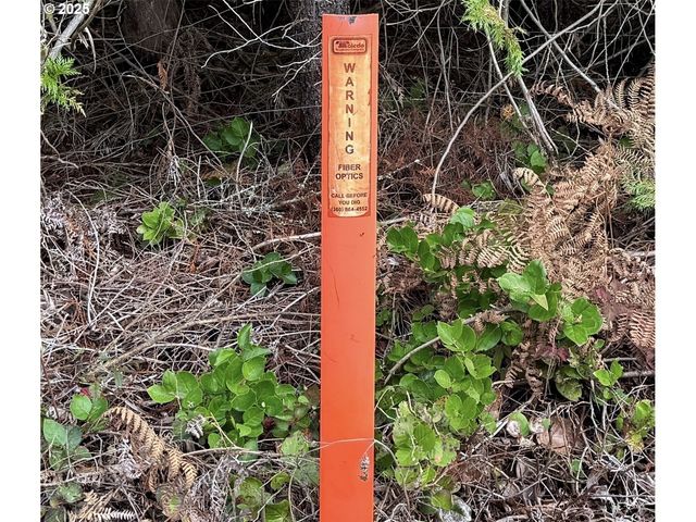 298 BOONE Rd, Toledo, WA 98591