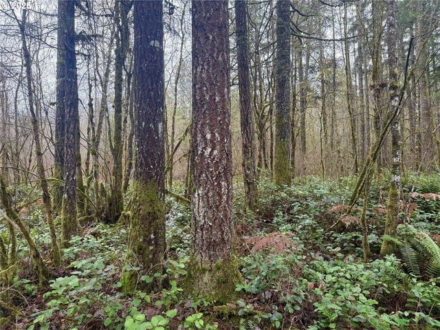 298 BOONE Rd, Toledo, WA 98591