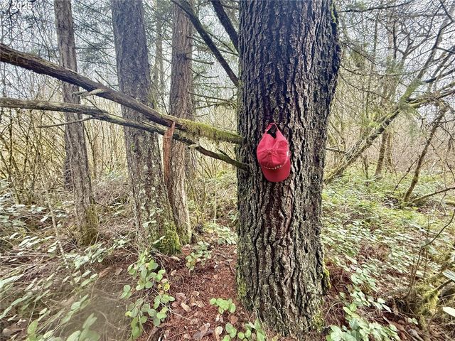 298 BOONE Rd, Toledo, WA 98591