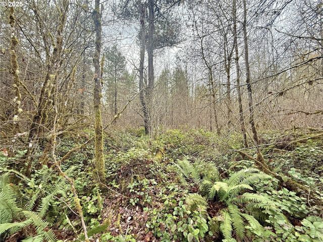 298 BOONE Rd, Toledo, WA 98591