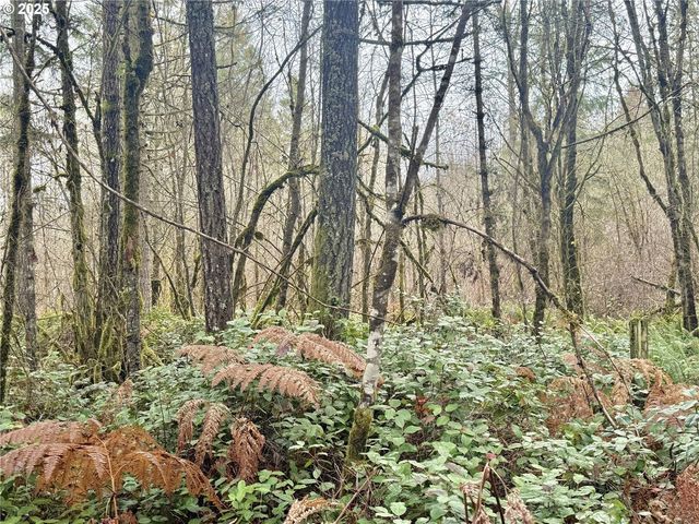 298 BOONE Rd, Toledo, WA 98591