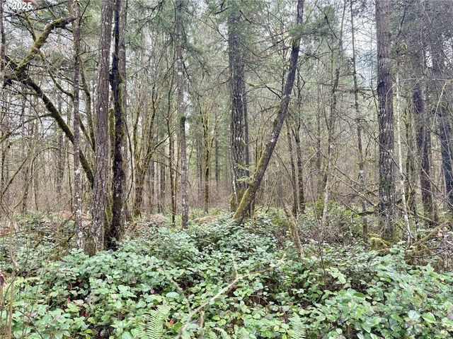 298 BOONE Rd, Toledo, WA 98591