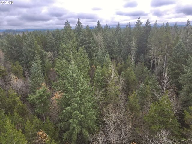 298 BOONE Rd, Toledo, WA 98591