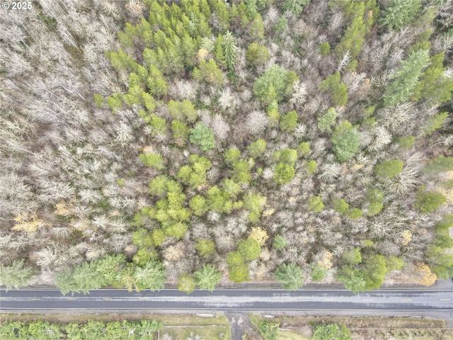 298 BOONE Rd, Toledo, WA 98591