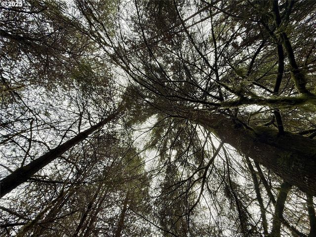 298 BOONE Rd, Toledo, WA 98591