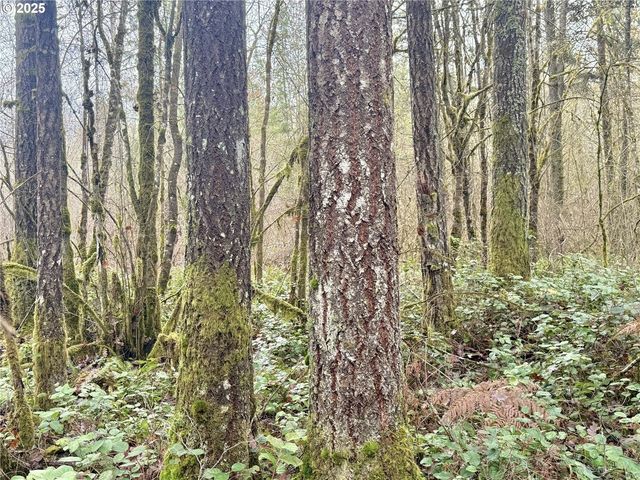 298 BOONE Rd, Toledo, WA 98591