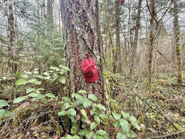 298 BOONE Rd, Toledo, WA 98591