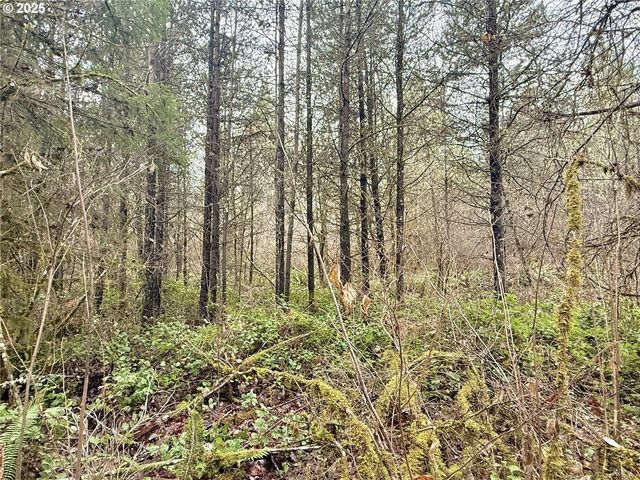 298 BOONE Rd, Toledo, WA 98591