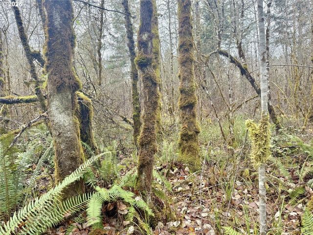 298 BOONE Rd, Toledo, WA 98591