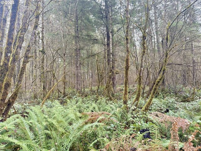 298 BOONE Rd, Toledo, WA 98591