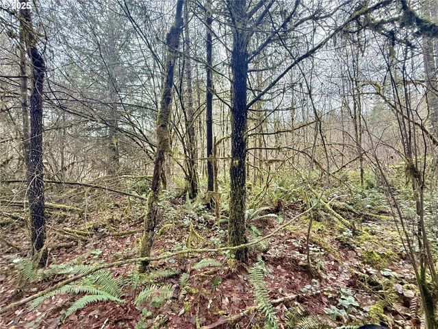 298 BOONE Rd, Toledo, WA 98591